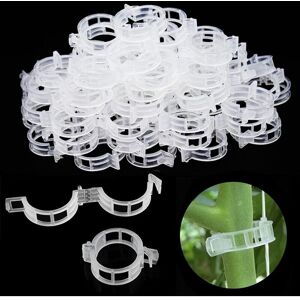 CCYKXA 200pcs tomato stakes, plant supports, climbing plant supports, monstera trellis, climbing plant supports, plant support clips, for vegetables, CCYKXA 200pcs tomato stakes, plant supports, climbing plant supports, monstera trellis, climbing plant supports, plant support clips, for vegetables,