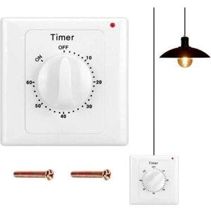 IKODM Countdown Switch: 60 Minute Timer Light Switch with Timer, Water Protected, Digging Holes IKODM Countdown Switch: 60 Minute Timer Light Switch with Timer, Water Protected, Digging Holes