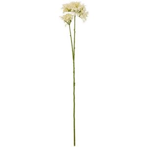 Crown Hydrangea (Single Stem Flower) - Plastic - L15 x W18 x H71 cm - Cream Crown Hydrangea (Single Stem Flower) - Plastic - L15 x W18 x H71 cm - Cream