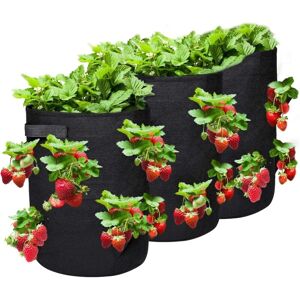 Csparkv - 3 Pcs Waterproof Garden Planting Bags, Grow Bag, Non-Woven Fabric Plant Bag for Strawberry/Flower/Tomatoes, Breathable, Air Permeable, 10 Csparkv - 3 Pcs Waterproof Garden Planting Bags, Grow Bag, Non-Woven Fabric Plant Bag for Strawberry/Flower/Tomatoes, Breathable, Air Permeable, 10