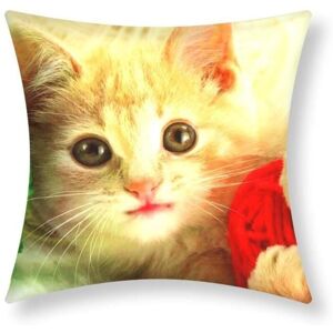 Cushion Cover - AVIZAR - Set of 2 - 40x40 cm - Kitten Pattern - Multicolor - Synthetic Cushion Cover - AVIZAR - Set of 2 - 40x40 cm - Kitten Pattern - Multicolor - Synthetic