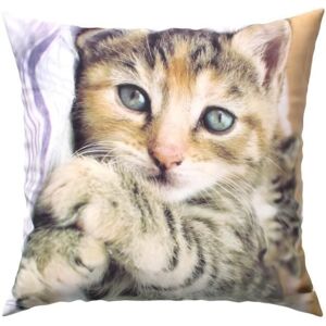 Cushion Cover - AVIZAR - Set of 2 - 40x40 cm - Pattern of Lying Kitten - Multicolor Cushion Cover - AVIZAR - Set of 2 - 40x40 cm - Pattern of Lying Kitten - Multicolor