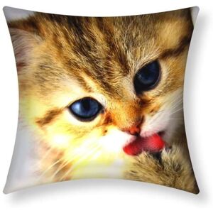 Cushion Covers - AVIZAR - Set of 2 - 40x40 cm - Kitten Pattern - Multicolor Cushion Covers - AVIZAR - Set of 2 - 40x40 cm - Kitten Pattern - Multicolor
