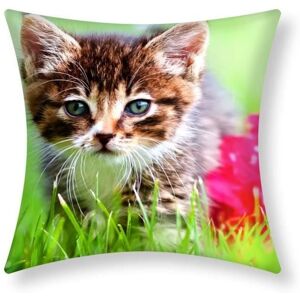 Cushion Covers - AVIZAR - Set of 2 - 40x40 cm - Kitten Pattern - Multicolor - Synthetic Cushion Covers - AVIZAR - Set of 2 - 40x40 cm - Kitten Pattern - Multicolor - Synthetic