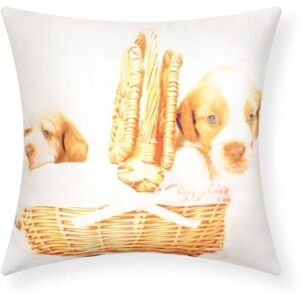 Cushion Covers - AVIZAR - Set of 2 - 40x40 cm - Puppy Pattern - Multicolor Cushion Covers - AVIZAR - Set of 2 - 40x40 cm - Puppy Pattern - Multicolor