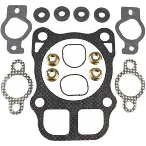 TLILY Cylinder Head Gasket Kit Replaces for CH18 CH19 CH20 CH21 CH22 CH23 CH24 CH25 CV18-22 2484101S TLILY Cylinder Head Gasket Kit Replaces for CH18 CH19 CH20 CH21 CH22 CH23 CH24 CH25 CV18-22 2484101S