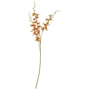 Cymbidium Spray (Single Stem Flower) - Plastic - L10 x W24 x H95 cm - Orange Cymbidium Spray (Single Stem Flower) - Plastic - L10 x W24 x H95 cm - Orange
