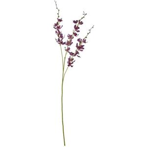 Cymbidium Spray (Single Stem Flower) - Plastic - L10 x W24 x H95 cm - Purple Cymbidium Spray (Single Stem Flower) - Plastic - L10 x W24 x H95 cm - Purple