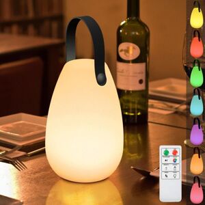 TINOR Dimmable Outdoor Table Lamp Wireless Table Lamp 8 Colors with Remote Control Portable Table Lamp for Outdoor Garden Living Room Patio Indoor Lantern TINOR Dimmable Outdoor Table Lamp Wireless Table Lamp 8 Colors with Remote Control Portable Table Lamp for Outdoor Garden Living Room Patio Indoor Lantern