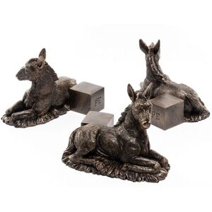 Donkey Foal Plant Pot Feet - Set of 3 - L8 x W10.5 x H8.5 cm Donkey Foal Plant Pot Feet - Set of 3 - L8 x W10.5 x H8.5 cm