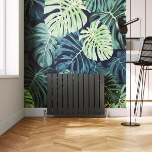 Elegant - Designer Horizontal Radiator 600x836 mm Flat Panel Anthracite Column with Thermostatic Radiator Valves Elegant - Designer Horizontal Radiator 600x836 mm Flat Panel Anthracite Column with Thermostatic Radiator Valves