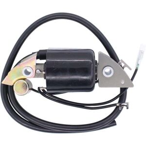 Ymyny - For Ignition Coil For Hon-da G150 G200 G300 G400 Engine 30500-887-303 30560-883-015 mumu Ymyny - For Ignition Coil For Hon-da G150 G200 G300 G400 Engine 30500-887-303 30560-883-015 mumu