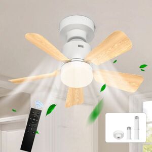 Ganeed - Screw in Ceiling Fan Light, Dimmable led Ceiling Lamp Fan for Bedroom E27 Socket with Remote Control, Adjustable 4 Speed 3 Color Ganeed - Screw in Ceiling Fan Light, Dimmable led Ceiling Lamp Fan for Bedroom E27 Socket with Remote Control, Adjustable 4 Speed 3 Color