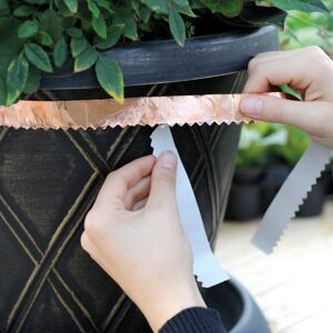 THOMPSON & MORGAN Thompson&morgan - Garden Essentials Copper Slug Tape 3m x 1 Unit THOMPSON & MORGAN Thompson&morgan - Garden Essentials Copper Slug Tape 3m x 1 Unit