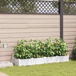 Garden Planters White 160 x 40 x 22 cm Steel Vidaxl Garden Planters White 160 x 40 x 22 cm Steel Vidaxl