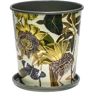 Kew Botanical Retreat Planter with Saucer - Mild Steel - L14 x W14 x H16 cm - Green Kew Botanical Retreat Planter with Saucer - Mild Steel - L14 x W14 x H16 cm - Green
