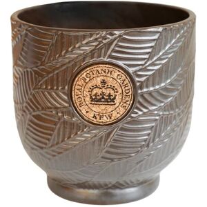 Kew Leaf Embossed Cork Planter - Ceramic - L18 x W18 x H18 cm - Charcoal Kew Leaf Embossed Cork Planter - Ceramic - L18 x W18 x H18 cm - Charcoal