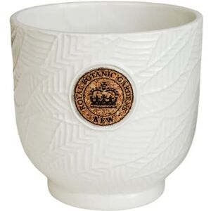 Kew Leaf Embossed Cork Planter - Ceramic - L18 x W18 x H18 cm - Ivory Kew Leaf Embossed Cork Planter - Ceramic - L18 x W18 x H18 cm - Ivory