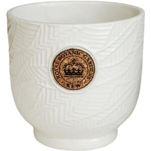 Kew Leaf Embossed Cork Planter - Ceramic - L23 x W23 x H22 cm - Ivory Kew Leaf Embossed Cork Planter - Ceramic - L23 x W23 x H22 cm - Ivory