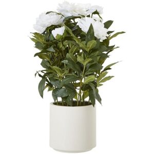 Large Peony Plant in Pot - Plastic - L46 x W46 x H71 cm - White Large Peony Plant in Pot - Plastic - L46 x W46 x H71 cm - White