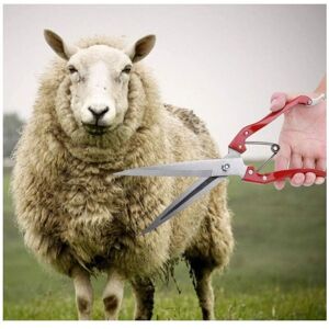 Csparkv - Manual Sheep Clippers, Goat and Sheep Wool Clippers, Stainless Steel Hand Shearing Scissors Multifunctional Sheep Shear Wool Cutting Csparkv - Manual Sheep Clippers, Goat and Sheep Wool Clippers, Stainless Steel Hand Shearing Scissors Multifunctional Sheep Shear Wool Cutting