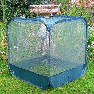 GARDENSKILL Mini Pop Up Net Fruit Cage - 50cm x 50cm x 50cm (Pack of 3) GARDENSKILL Mini Pop Up Net Fruit Cage - 50cm x 50cm x 50cm (Pack of 3)
