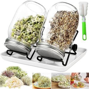 LUNE Moon Sprouting Jars, 950ML Glass Sprouter with, Sprouting Seed Sprouter, 2 Grids, 2 Holders, 1 Sprouting Bowl, Sprout Jar for Broccoli, Water Celery, LUNE Moon Sprouting Jars, 950ML Glass Sprouter with, Sprouting Seed Sprouter, 2 Grids, 2 Holders, 1 Sprouting Bowl, Sprout Jar for Broccoli, Water Celery,