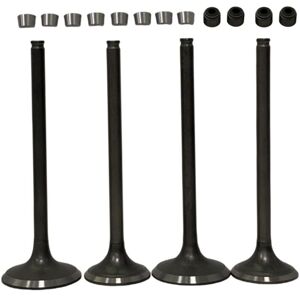 Tlily - Motorcycle Engine Parts Intake Exhaust Valve Stem Seal Kit for CRF250X crf 250 x 2004-2017 r 2004-2007 Tlily - Motorcycle Engine Parts Intake Exhaust Valve Stem Seal Kit for CRF250X crf 250 x 2004-2017 r 2004-2007