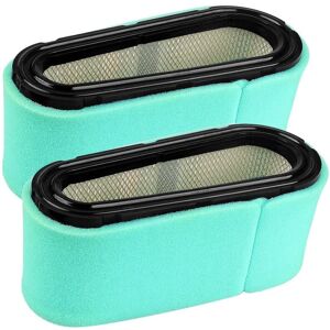 TINOR Pack Air Filter 496894S 496894 for Briggs & Stratton 282700 691642 493909 272403S 5053B 5053D 5053H 5053K 5053K Pre-Filter Replaces 272403S 272403S TINOR Pack Air Filter 496894S 496894 for Briggs & Stratton 282700 691642 493909 272403S 5053B 5053D 5053H 5053K 5053K Pre-Filter Replaces 272403S 272403S