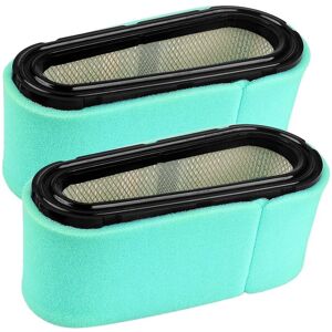 BEIJIYI Pack of 2 496894S 496894 Air Filter for Briggs & Stratton 282700 691642 493909 272403S 5053B 5053D 5053H 5053K 5053K Prefilter Replaces 272403S BEIJIYI Pack of 2 496894S 496894 Air Filter for Briggs & Stratton 282700 691642 493909 272403S 5053B 5053D 5053H 5053K 5053K Prefilter Replaces 272403S