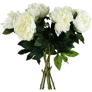 Leaf Pack of 6 x 80cm Artificial White Peony Stem Leaf Pack of 6 x 80cm Artificial White Peony Stem