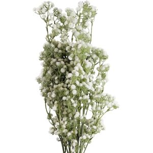 Leaf Pack of 6 x 85cm Gypsophila White Stem Leaf Pack of 6 x 85cm Gypsophila White Stem