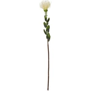 Pincushion Protea Spray (Single Stem Flower) - Plastic - Height 61 cm - Cream Pincushion Protea Spray (Single Stem Flower) - Plastic - Height 61 cm - Cream