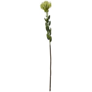 Pincushion Protea Spray (Single Stem Flower) - Plastic - Height 61 cm - Green Pincushion Protea Spray (Single Stem Flower) - Plastic - Height 61 cm - Green