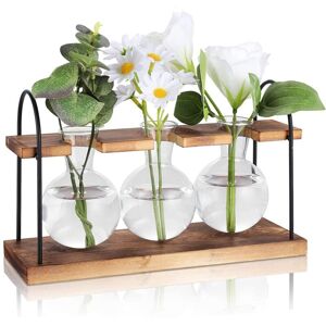 Tlily - Plant Propagation Station with Wooden Stand,Plant Terrarium Desktop Stations,Air Planter Bulb Glass Vase Tlily - Plant Propagation Station with Wooden Stand,Plant Terrarium Desktop Stations,Air Planter Bulb Glass Vase