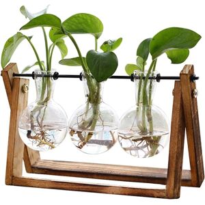 Groofoo - Plant Terrarium with Wooden Stand, Air Planter Bulb Glass Vase Metal Swivel Holder Retro Tabletop for Hydroponics Home Garden Office Groofoo - Plant Terrarium with Wooden Stand, Air Planter Bulb Glass Vase Metal Swivel Holder Retro Tabletop for Hydroponics Home Garden Office