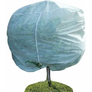 Mumu - Plant wintering cover, 240 x 200 cm, wintering cover for plants, wintering sail, tree wintering cover, palm wintering cover with adjustable Mumu - Plant wintering cover, 240 x 200 cm, wintering cover for plants, wintering sail, tree wintering cover, palm wintering cover with adjustable