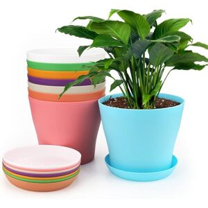 LINGHHANG Plastic Plant Pots, 8 Colorful Pieces, 16cm, Indoor/Outdoor, Flower Pot with Trays, Suitable for Seedlings and Cacti LINGHHANG Plastic Plant Pots, 8 Colorful Pieces, 16cm, Indoor/Outdoor, Flower Pot with Trays, Suitable for Seedlings and Cacti