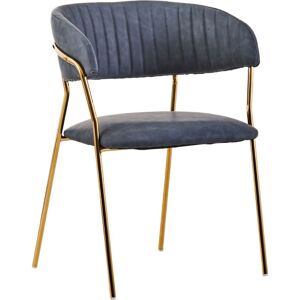 Premier Housewares - Interiors by Premier Dark Grey Velvet Dining Chair, Modern Dining Armchair, Grey and Gold Luxury Dining Chair for Home, Lounge Premier Housewares - Interiors by Premier Dark Grey Velvet Dining Chair, Modern Dining Armchair, Grey and Gold Luxury Dining Chair for Home, Lounge