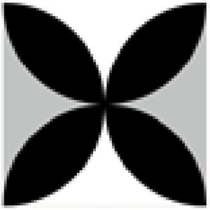 Rak Ceramics - rak Symphony Petals Black Matt 20cm x 20cm Porcelain Wall and Floor Tile - EBDH101 Rak Ceramics - rak Symphony Petals Black Matt 20cm x 20cm Porcelain Wall and Floor Tile - EBDH101