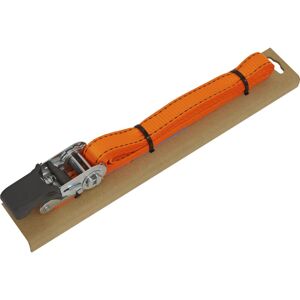 Sealey - TD0635E Ratchet Strap Polyester Webbing with Corner Protector 25mm x 5m 600kg Breaking Strength Sealey - TD0635E Ratchet Strap Polyester Webbing with Corner Protector 25mm x 5m 600kg Breaking Strength