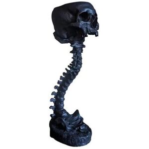 TLILY Resin Skull Planter & Spine Stand Set, Polyresin Skulls Pot, Halloween Decoration Retro Human Head Flower, Black TLILY Resin Skull Planter & Spine Stand Set, Polyresin Skulls Pot, Halloween Decoration Retro Human Head Flower, Black