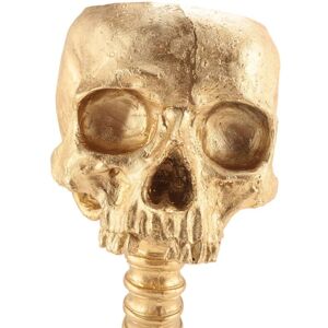 TLILY Resin Skull Planter & Spine Stand Set, Polyresin Skulls Pot, Halloween Decoration Retro Human Head Flower, Gold TLILY Resin Skull Planter & Spine Stand Set, Polyresin Skulls Pot, Halloween Decoration Retro Human Head Flower, Gold