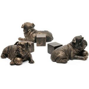 Resting British Bulldog Plant Pot Feet - Set of 3 - L8.2 x W9 x H8.5 cm Resting British Bulldog Plant Pot Feet - Set of 3 - L8.2 x W9 x H8.5 cm