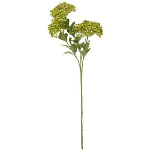 Sedum Spray (Single Stem Flower) - Plastic - Height 58 cm - Green Sedum Spray (Single Stem Flower) - Plastic - Height 58 cm - Green