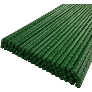 SELECTIONS Set of 80 Plastic Coated Metal Plant Support Sticks (120cm) SELECTIONS Set of 80 Plastic Coated Metal Plant Support Sticks (120cm)