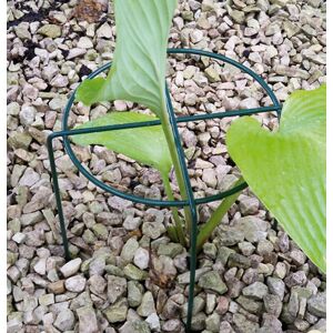 Small Simple Ring (Pack of 4) - Steel - L20.3 x W20.3 x H30.4 cm - Green Small Simple Ring (Pack of 4) - Steel - L20.3 x W20.3 x H30.4 cm - Green