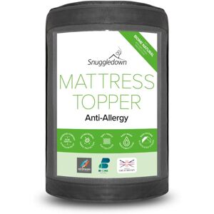 Snuggledown Snuggledown Anti Allergy Airstream Mattress Topper - Mattress Topper Snuggledown Snuggledown Anti Allergy Airstream Mattress Topper - Mattress Topper