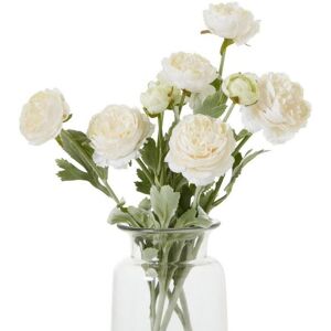 The Natural Garden Collection Apricot Ranunculus (Single Stem Flower) - Plastic - Height 50 cm - Pink The Natural Garden Collection Apricot Ranunculus (Single Stem Flower) - Plastic - Height 50 cm - Pink