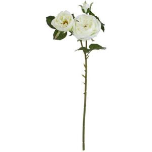 The Natural Garden Collection Charity Rose (Single Stem Flower) - Plastic - Height 58 cm - White The Natural Garden Collection Charity Rose (Single Stem Flower) - Plastic - Height 58 cm - White